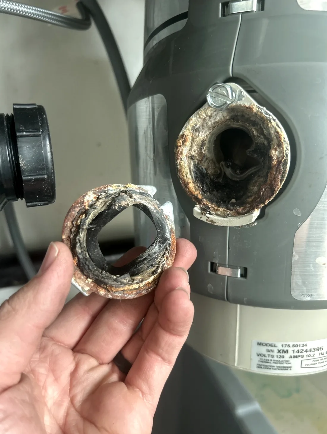 Corroded pipe section removed during a repipe